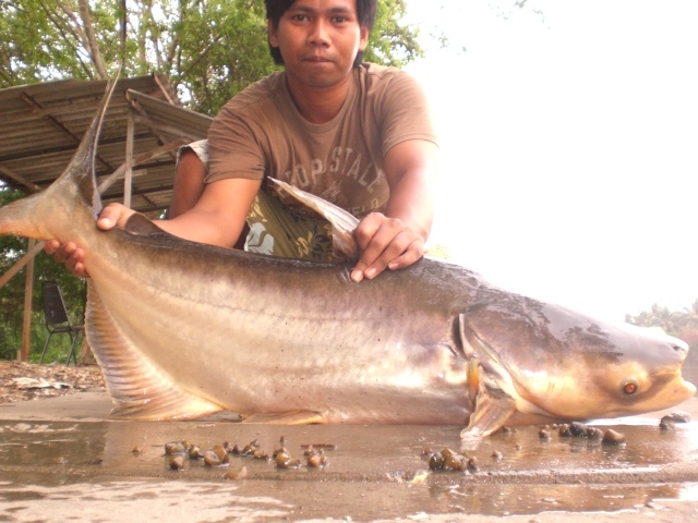 เงาน้ำวันอาทิตย์ที่ผ่านมาจร้า