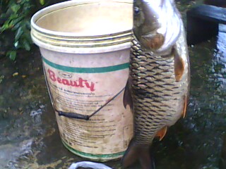 ลองโพสดูครับ ณ...อุบลราชธานี