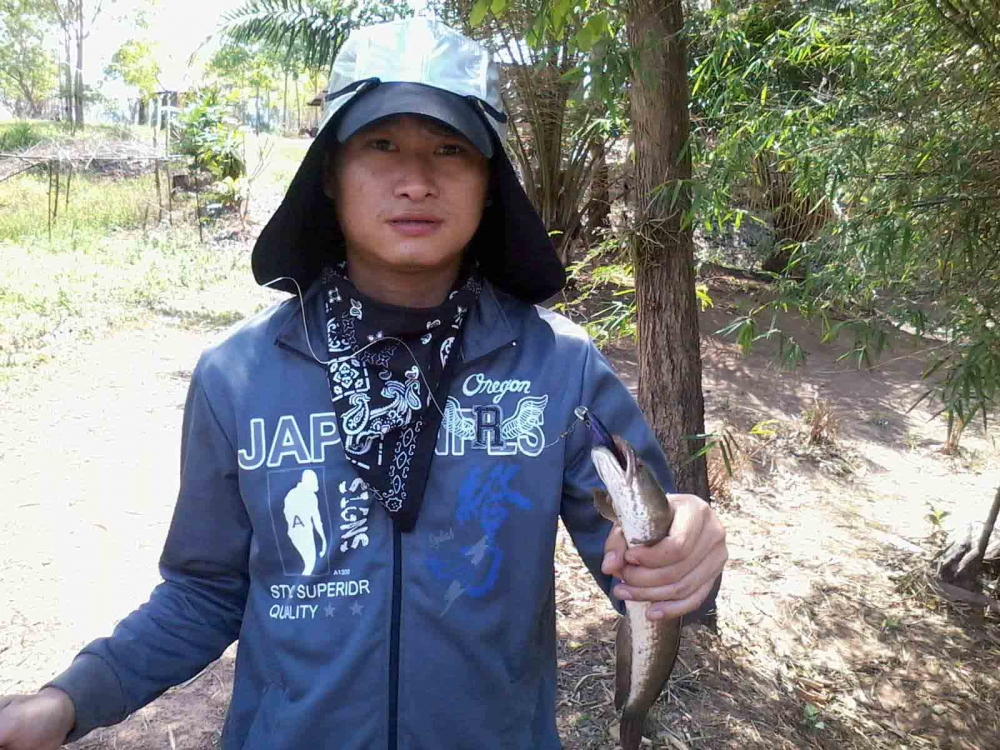 ปลาช่อนเล็กๆ แต่ดุน่าดู