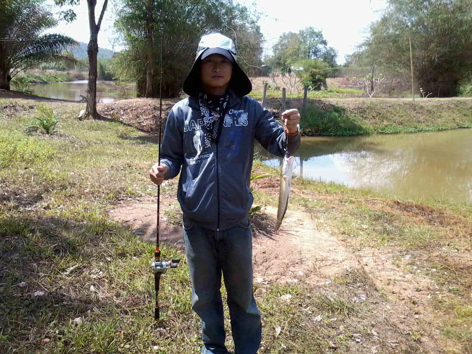 ปลาช่อนเล็กๆ แต่ดุน่าดู