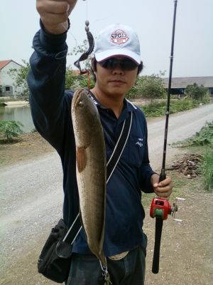 Texas rig    