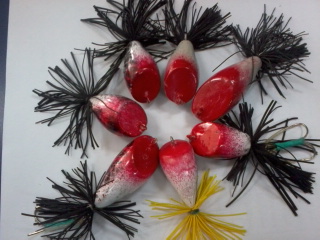 กบตาแดง
