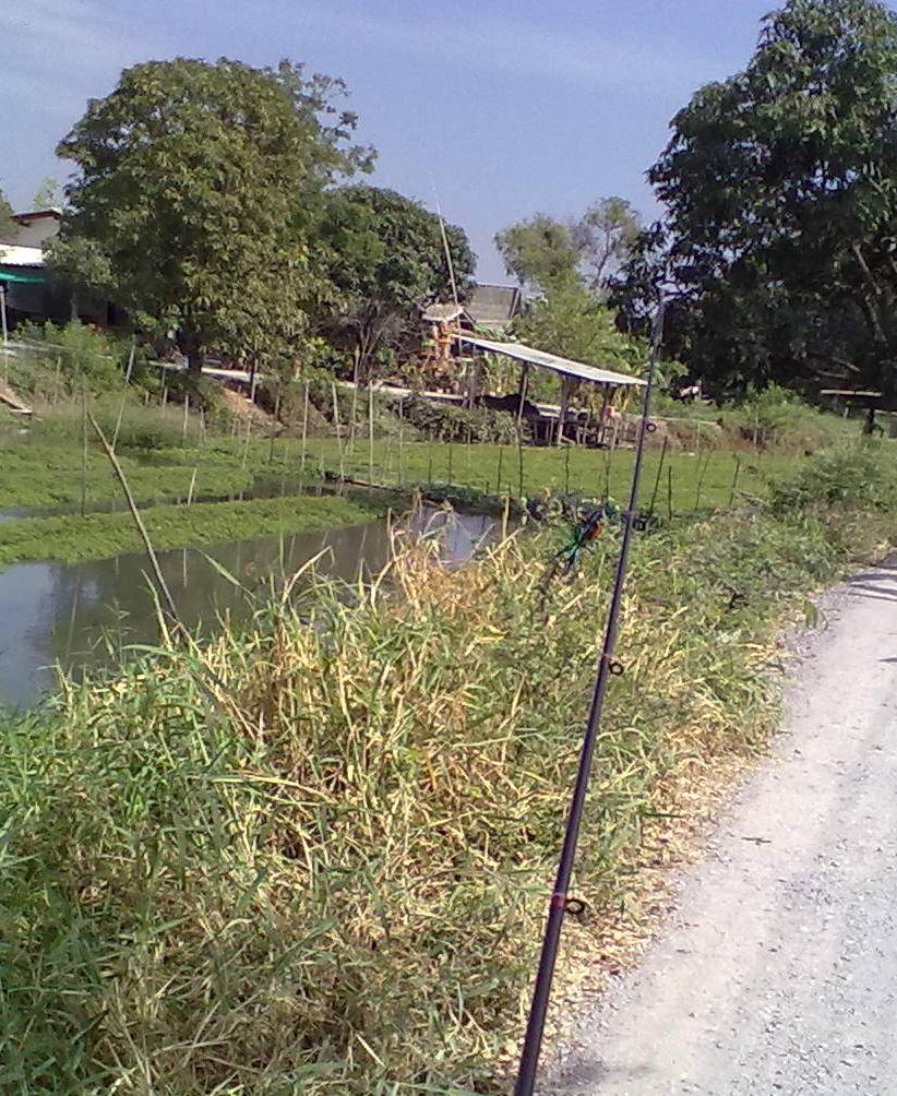แซวเด็กบางแขม