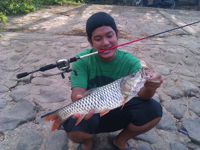 กระสูบนครนายก