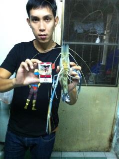 เมื่อพ่อเพื่อนเอากุ้งอยุธยา มา เขี้ยงปาก