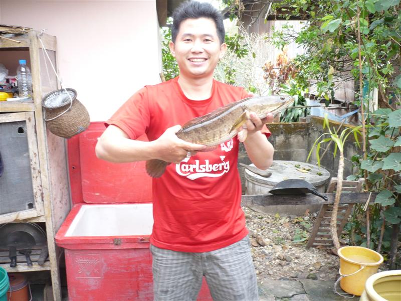 ช่อนหย่ายกะเขาบ้าง