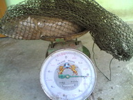 เจิมคัน+รอกใหม่