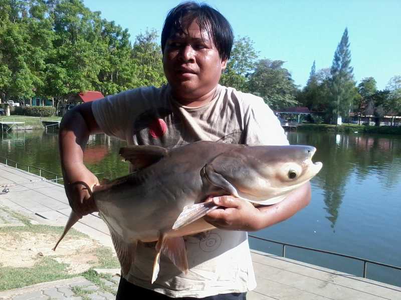 Cha-am fishing Park รับเมษา 55 ภาค 2