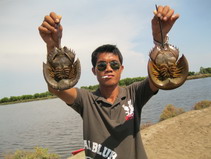 ตามไปดูปูป้าดา