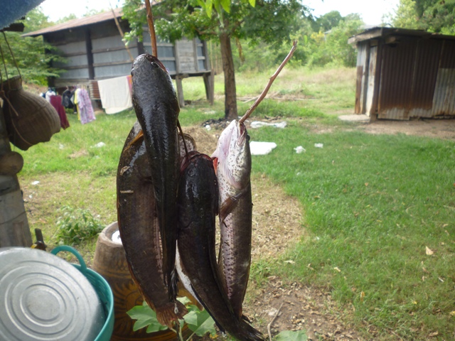 ยามว่างวันสงกรานต์กับหมายใหม่