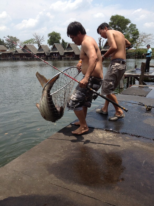 ไปตกวิลลี่ วันสงกรานต์ มาครับ