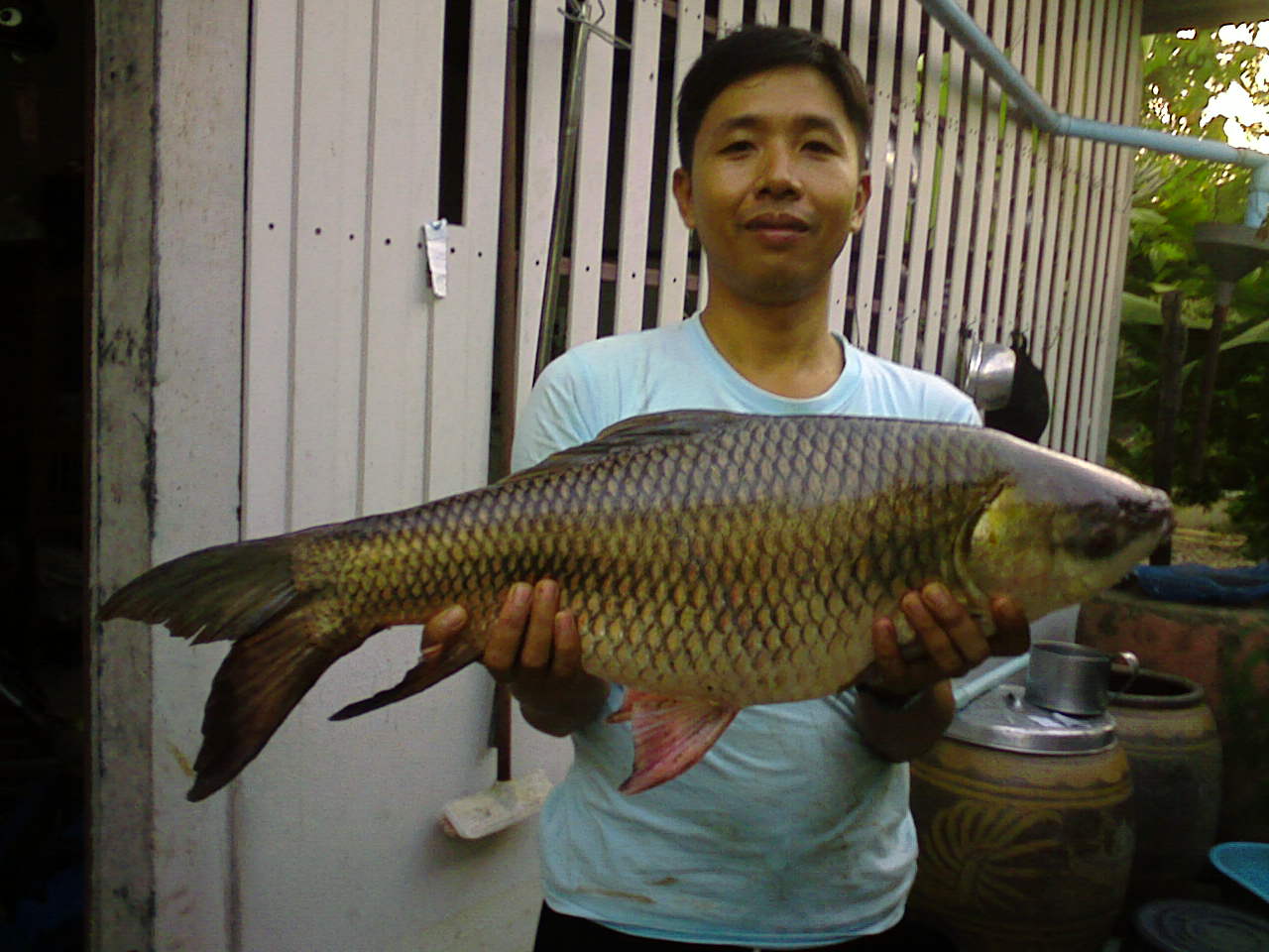 ได้ตัวนี้เมียคงไม่บ่น