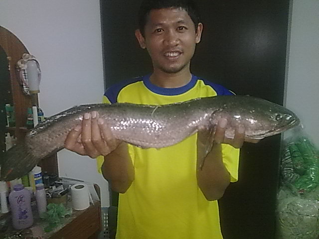 เพื่อนให้หนอนมา ต้องเทส