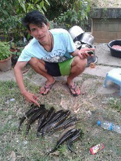 ของฝากจากครูโก๋
