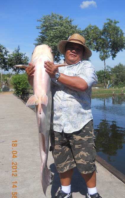 ตัวเล็กๆที่พัทยาฟิชชิ่ง