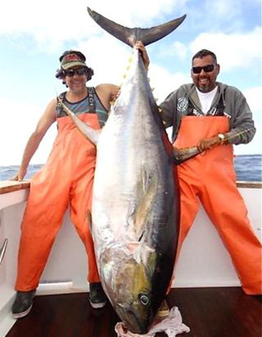 ฮือฮา!!ชาวเม็กซิโกตกได้ปลาทูน่ายักษ์ขนาดทุบสถิติโล