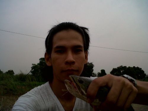 เช้าๆก่อนออกทำงาน