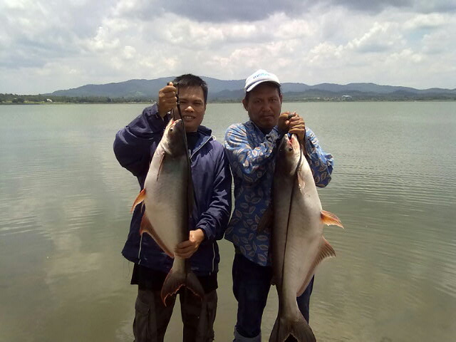  Big fish ทีม พิชิตBigหวาย5.5 vs11 kg.