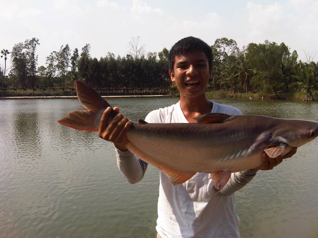 รอเทพา เจ๊เอ็งเมื่อวานนี้