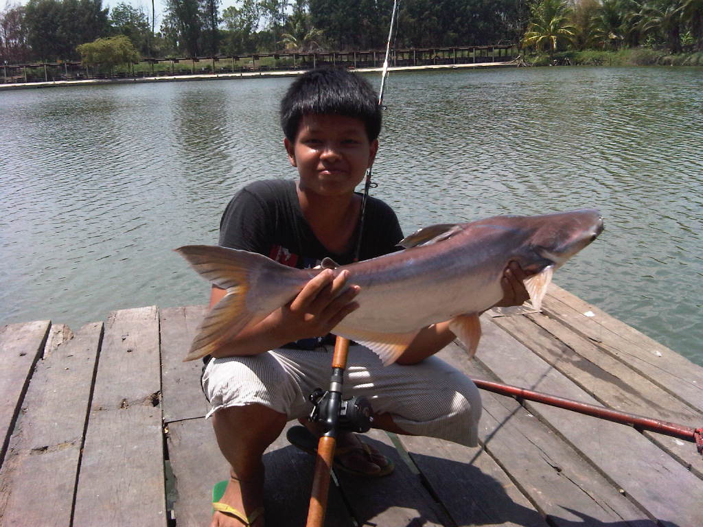 รอเทพา เจ๊เอ็งเมื่อวานนี้