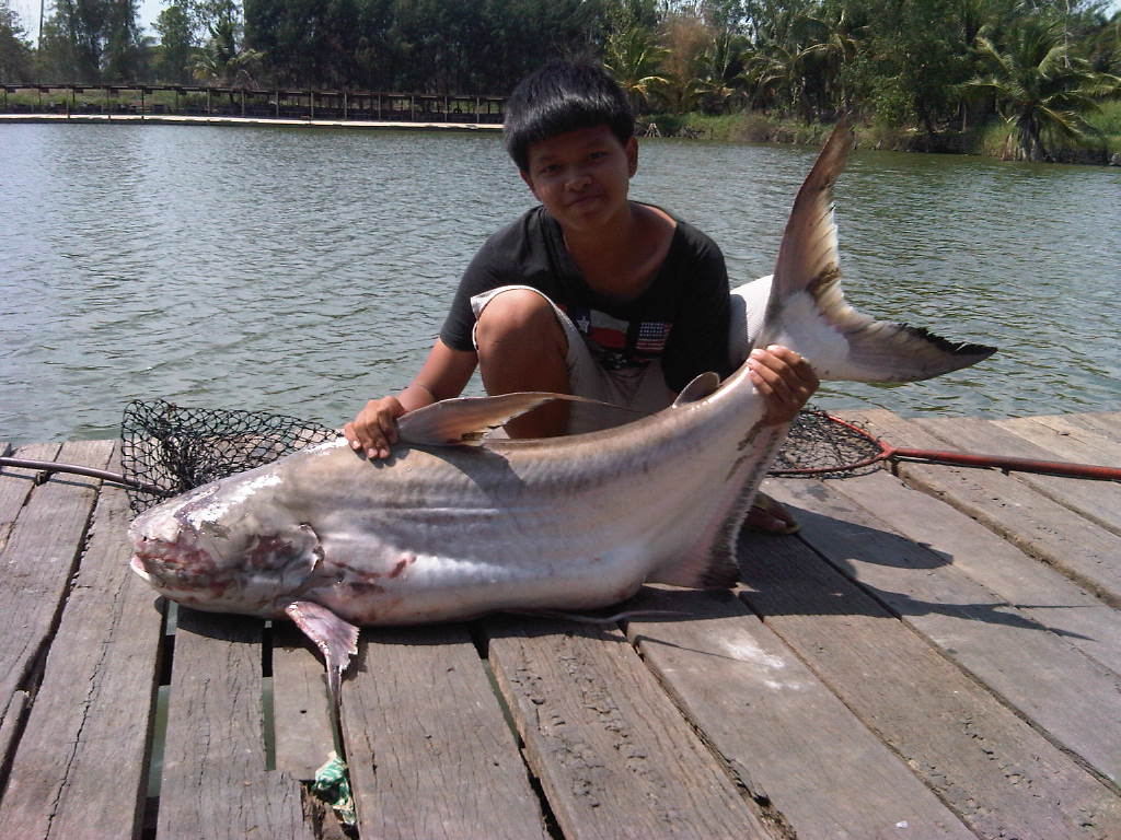 รอเทพา เจ๊เอ็งเมื่อวานนี้