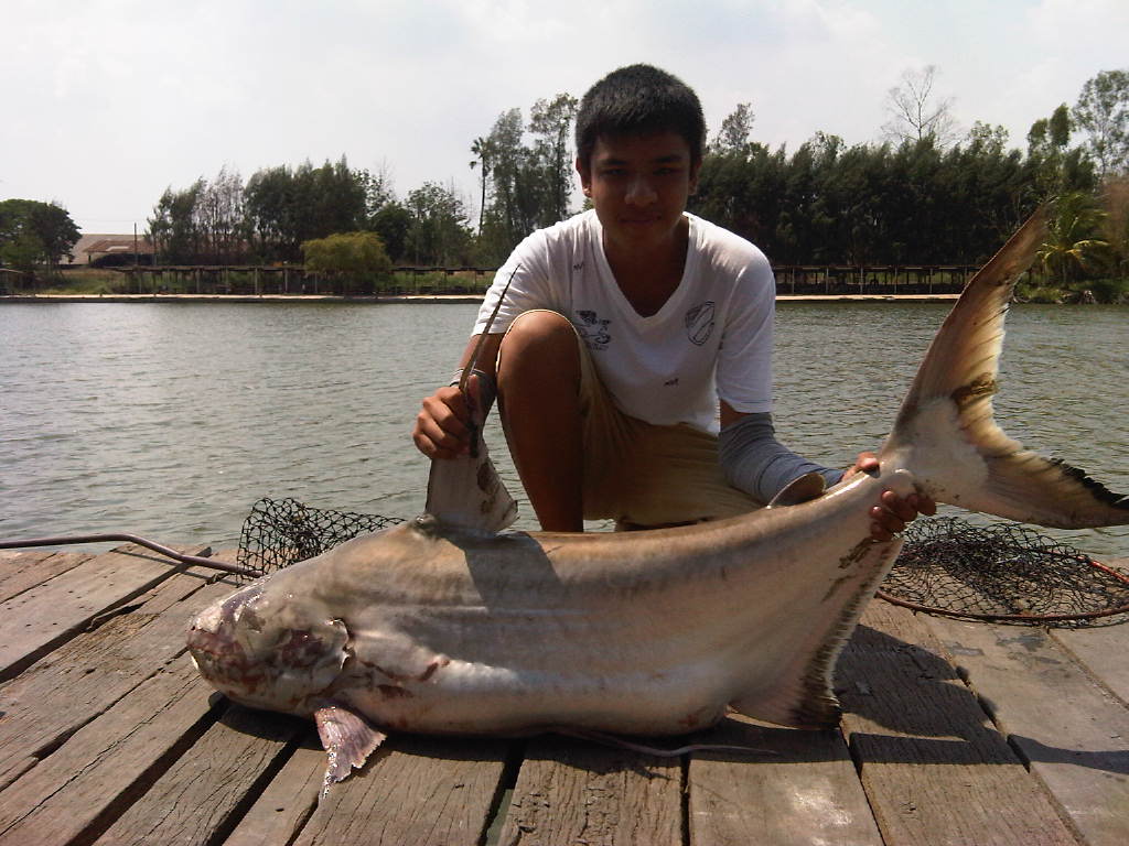 รอเทพา เจ๊เอ็งเมื่อวานนี้