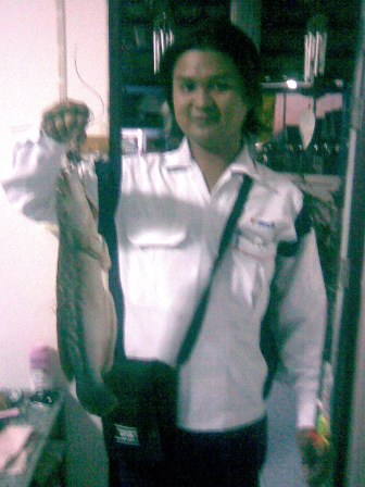 ผลงานรวม อ.ทร ..ชโดแมน.TS Tech