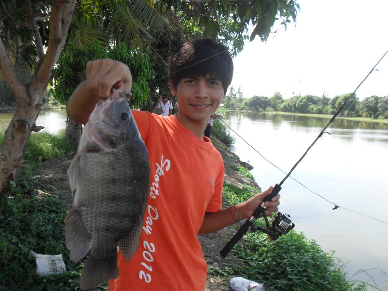 ปลานิลตัวสวย