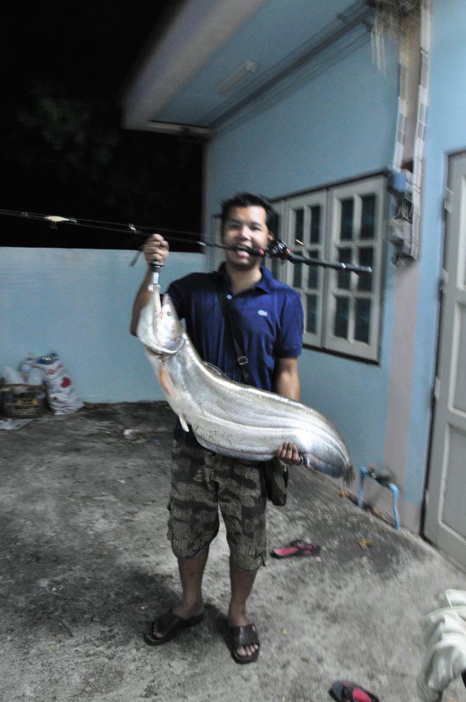 Night Fishing ปลาค้าว 8.2 kg.