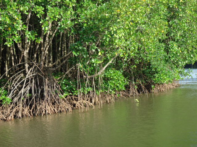 การแข่งขันตกปลานานาชาติ ประจำภูมิภาคเอเชีย 2