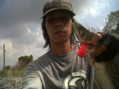 จัดโดมาอีกหนึ่ง