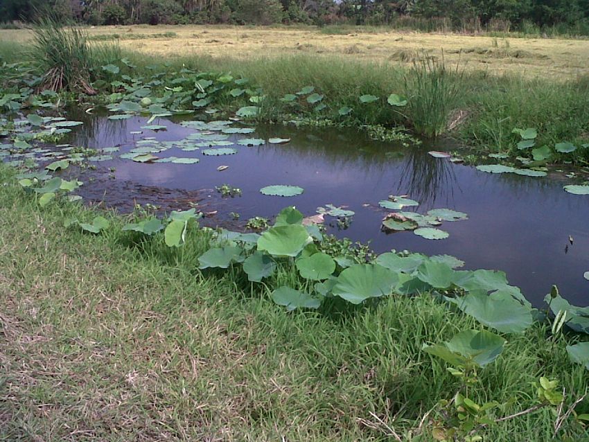 คัดไซด์ ส่งตรงจากมีนบุรีคับท่าน