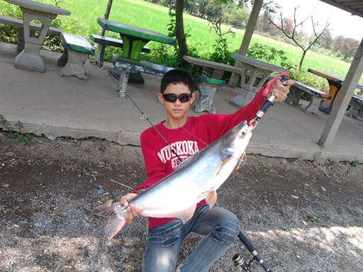 ปลาสวายจาก PN FISHING PARK ลพบุรี