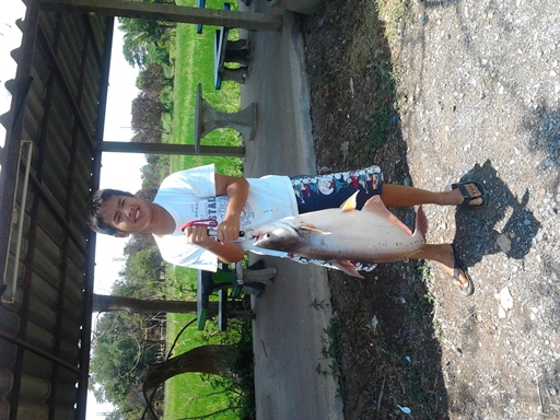 ปลาสวายจาก PN FISHING PARK ลพบุรี