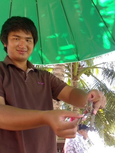 เปลี่ยนแนว ที่อัมพวา