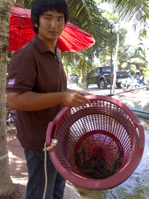 เปลี่ยนแนว ที่อัมพวา