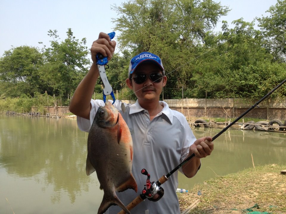 มันมากับน้ำท่วม