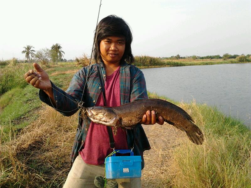 ช่อนดอนตูม