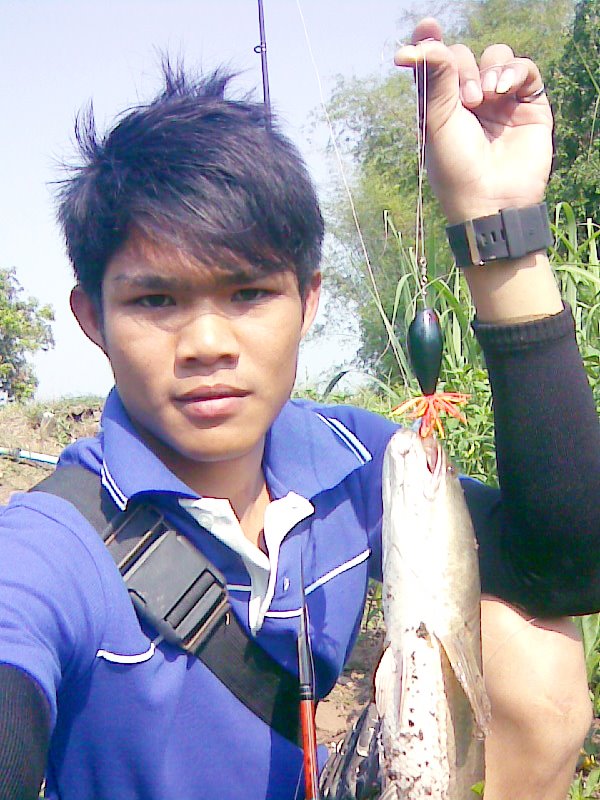 ช่อนคลอง Lomsak