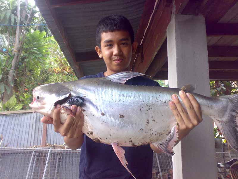 ครั้งกับการลองส่ง"บ้านตากแม่น้ำยังมีปลา"