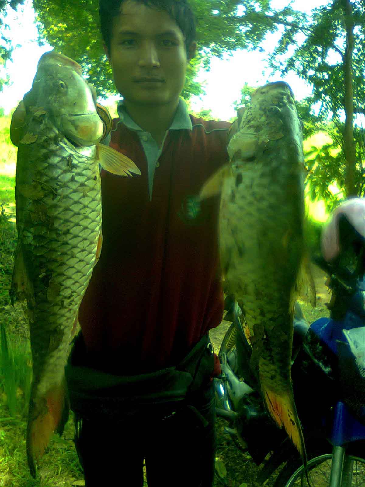 กระสูบน้ำไหล หายใจไม่ทั่วท้อง
