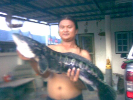 กบ เบลล์ _ยุธยา+ชโดแมน >> อ.ทรไปเทสให้