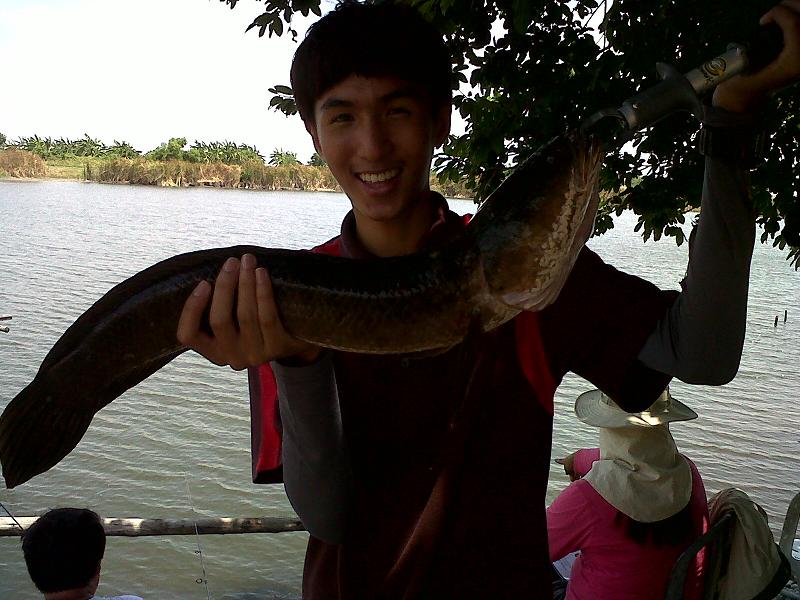 กระพง 12 โลกับช่อน 2 โล