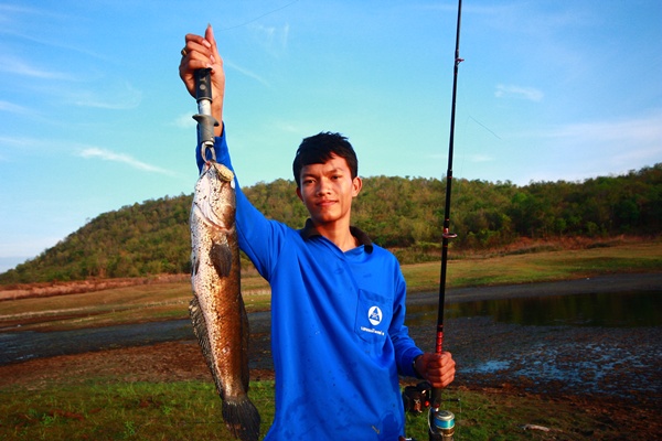 กบยางป้าบอลลูน กับช่อน 2.5/1.7