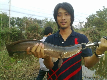 ภาพเก่า.......เล่าใหม่