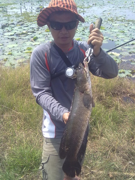 @@@  ช่อนใหญ่  ณ  ปราจีนบุรี  @@@