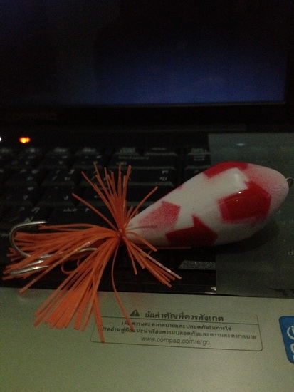 ฝีมือ เท่าหางอึ่ง...!