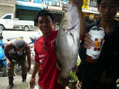 กระพง.......บางปะอิน  ครับผม