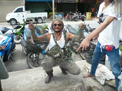 กระพง.......บางปะอิน  ครับผม