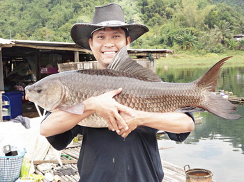  "เขื่อนเขาแหลม"